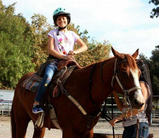 Country Trails And Riding School