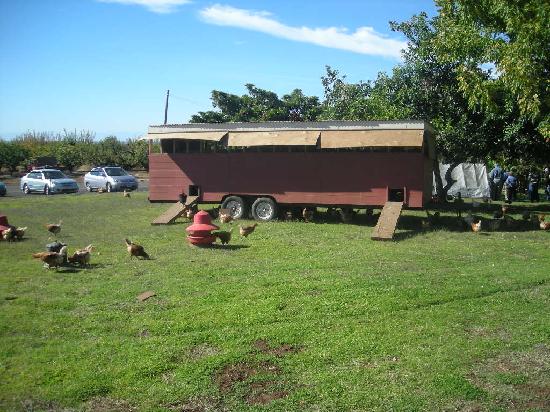 Chaffin Family Orchards