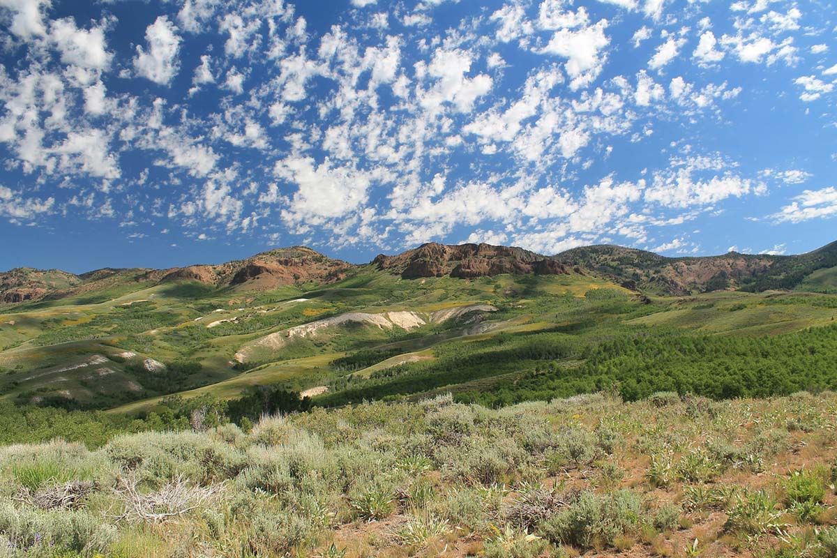 Jarbidge Wilderness