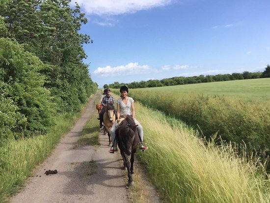 Copenhagen Horseback Riding