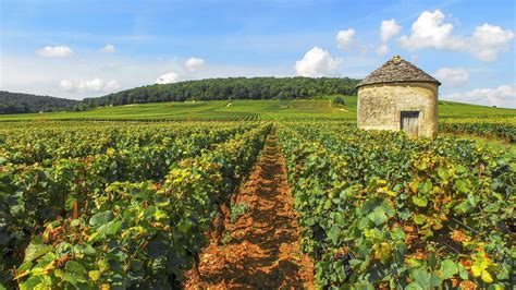 Flavour Route (Route des Saveurs)