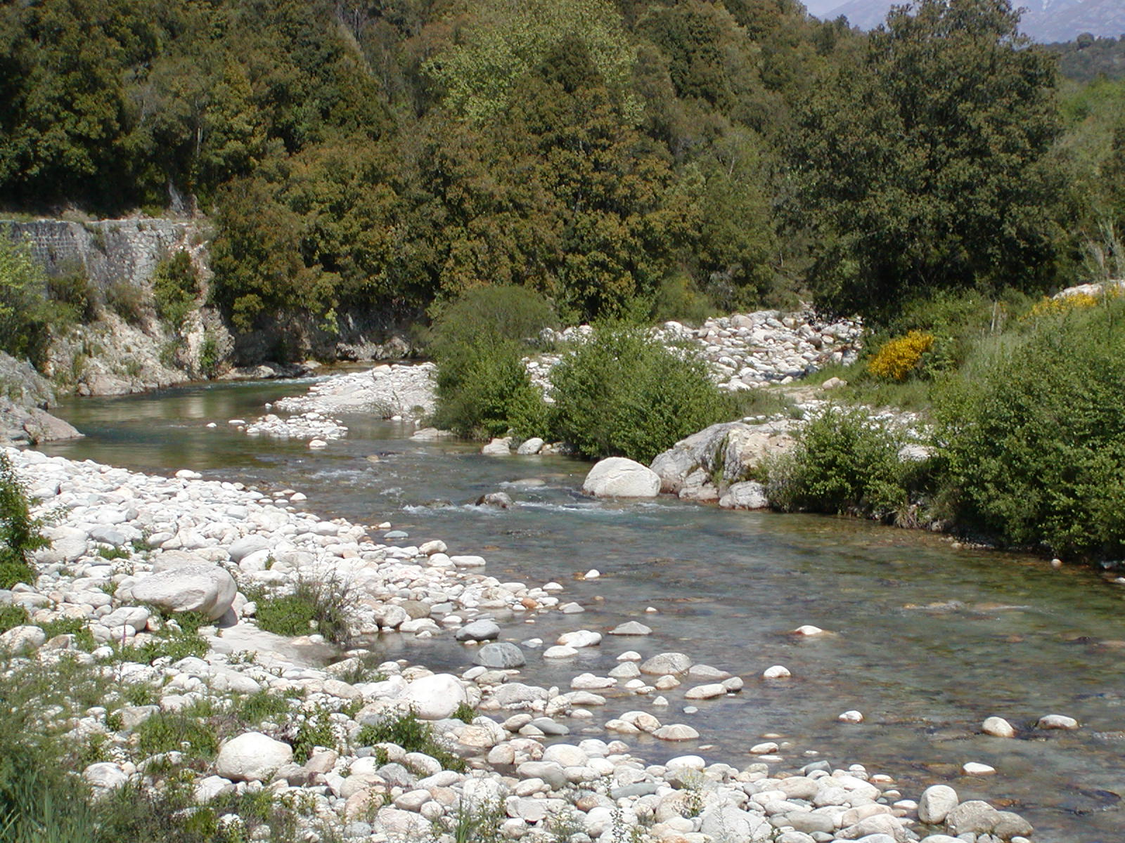 Gravona River