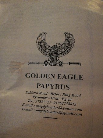 Golden Eagle Papyrus