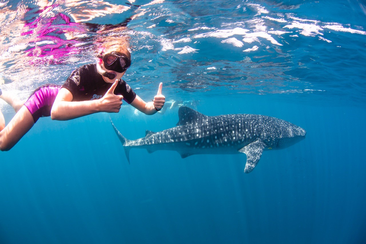 Ningaloo Aquarium & Discovery Centre