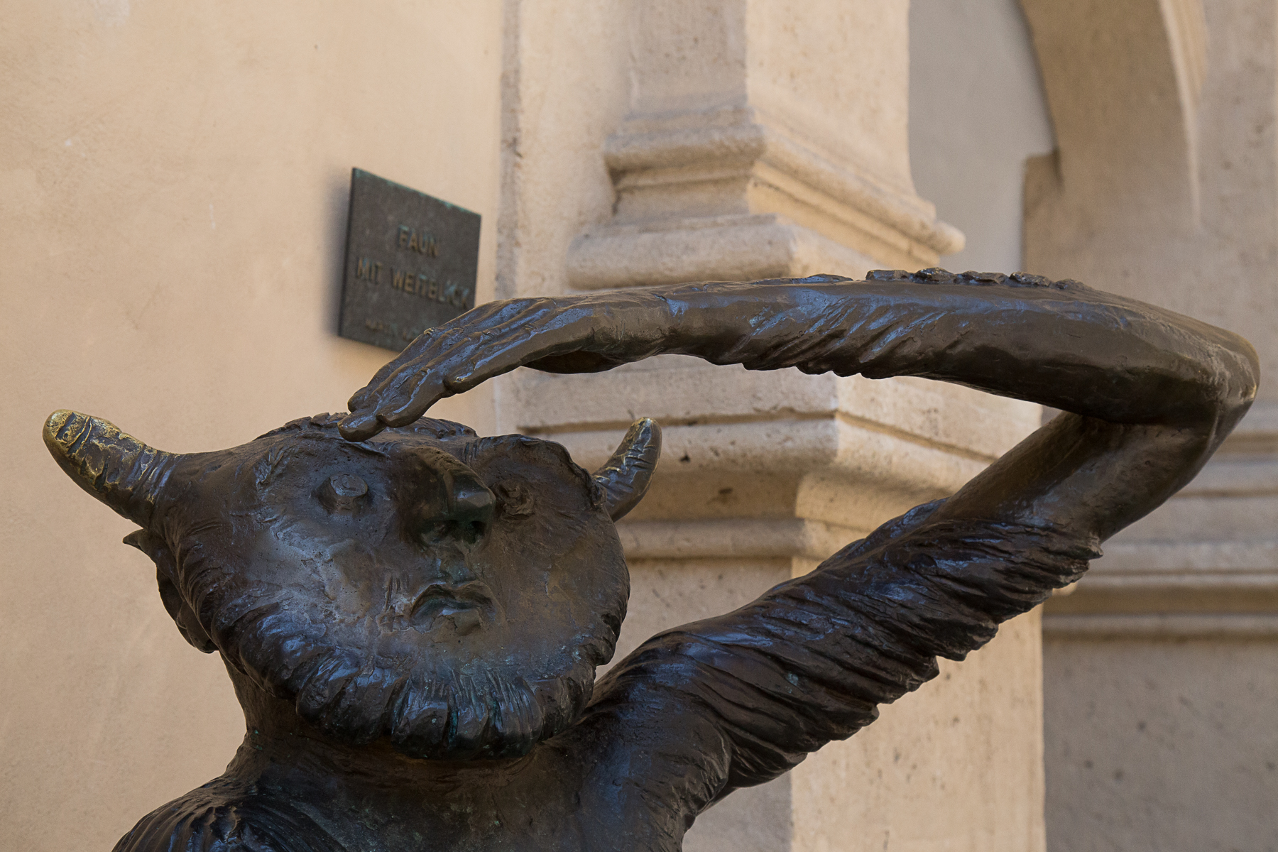 Faun mit Weitblick
