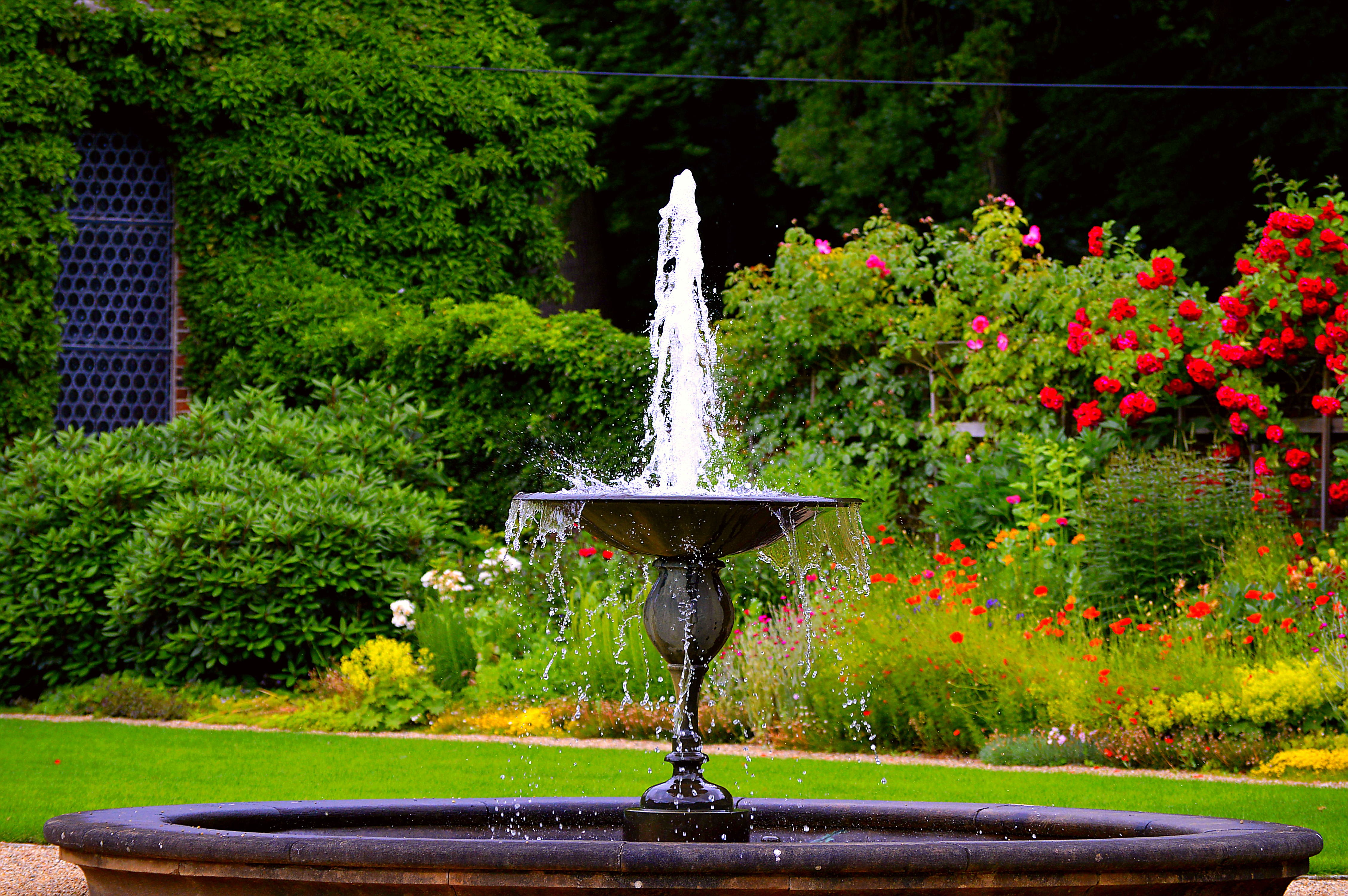 Outdoor Pictures 1