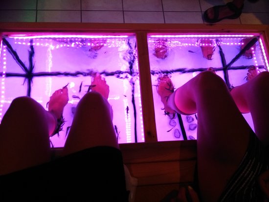 NEXT level Fish Spa