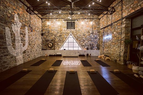 The Cactus Yoga Studio