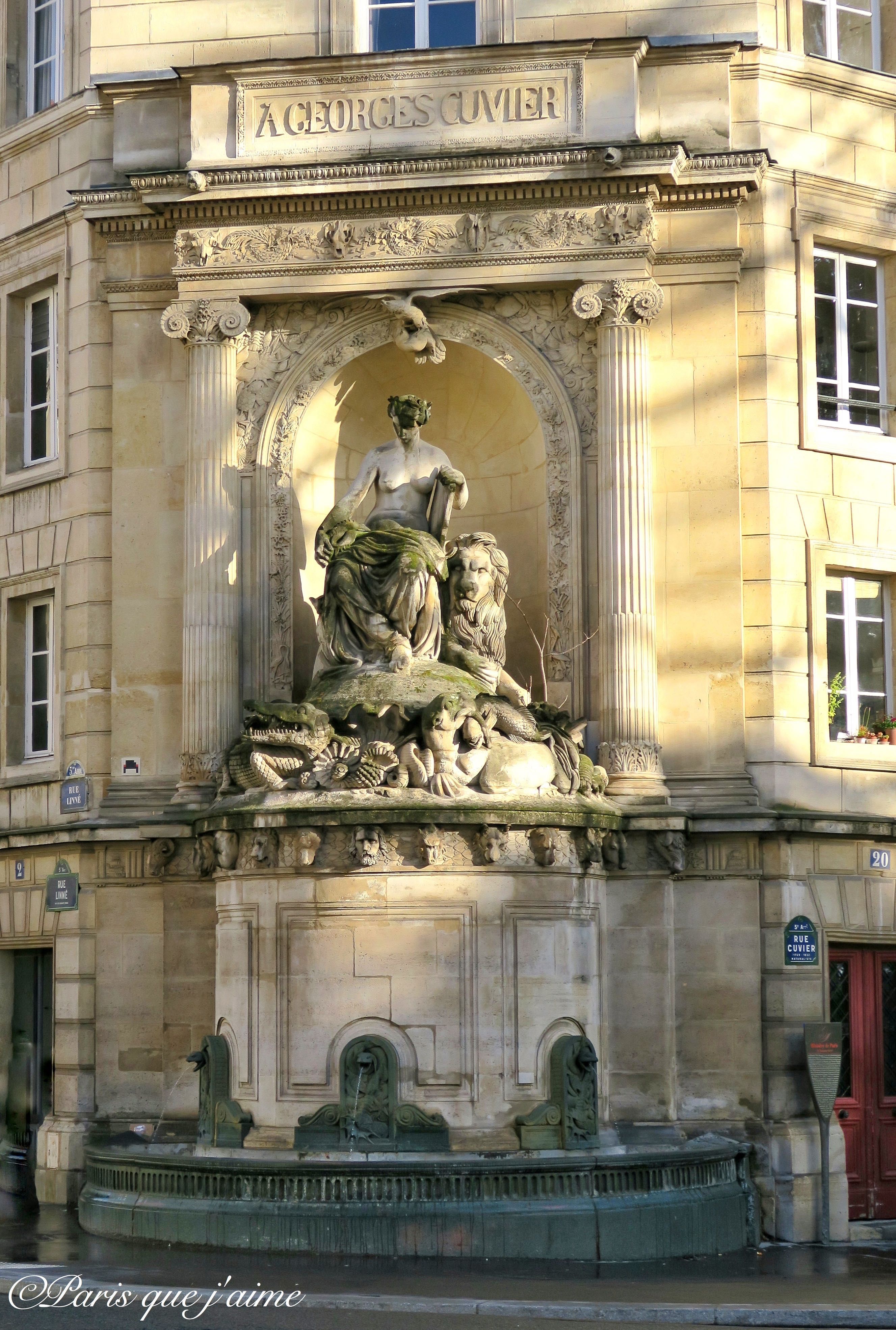 Fontaine Cuvier