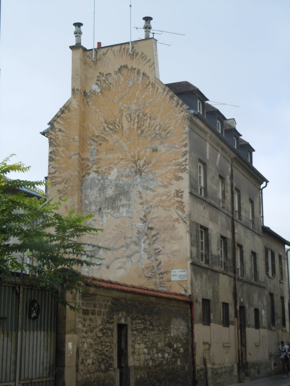 Fresque Le Fossile