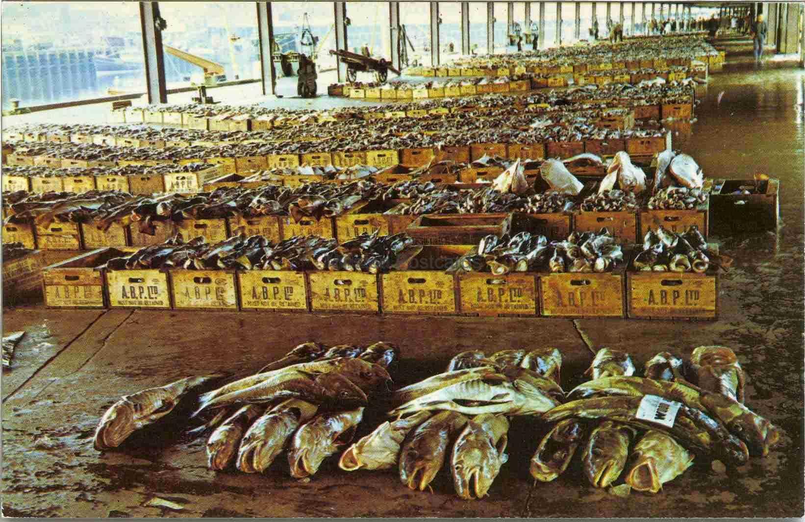 Fish Market