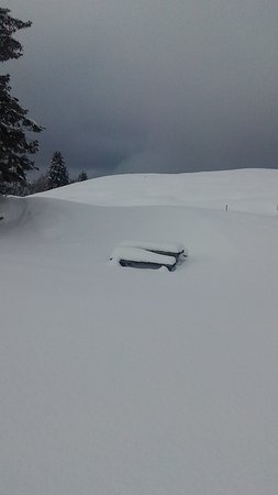 Forte Busa Verle