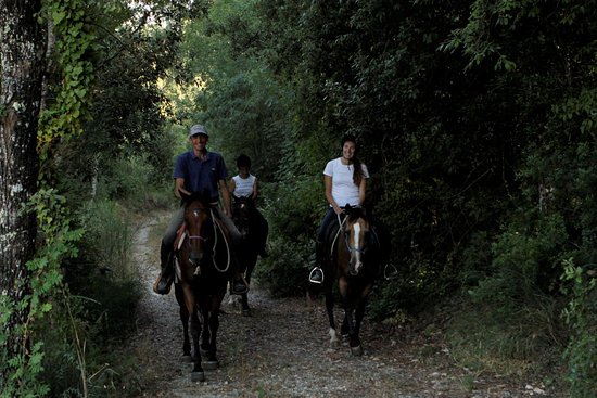 Front Ranch