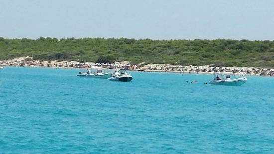 Marina Yachting Portolano - Day Excursions & Boat Rentals