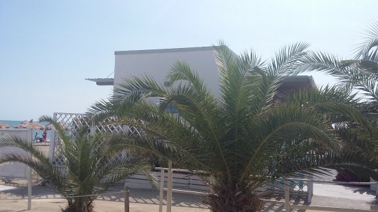 Outdoor Pictures 1