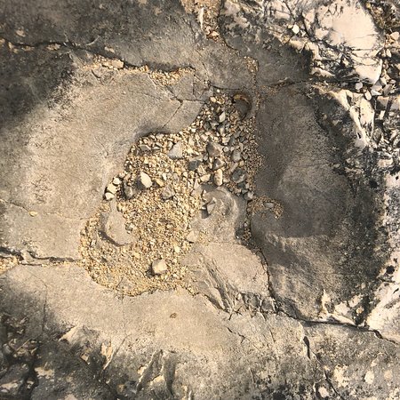 Cava dei Dinosauri - Cava Pontrelli