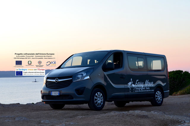 Easy Move - Transfer and Tours