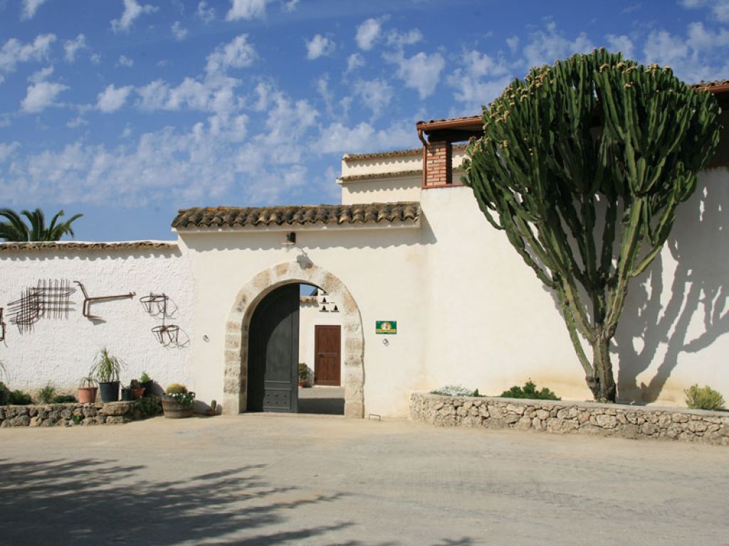 Fattoria Vassallo
