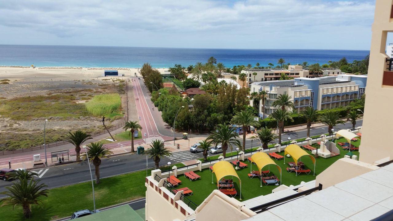 Fund Grube Palm Garden