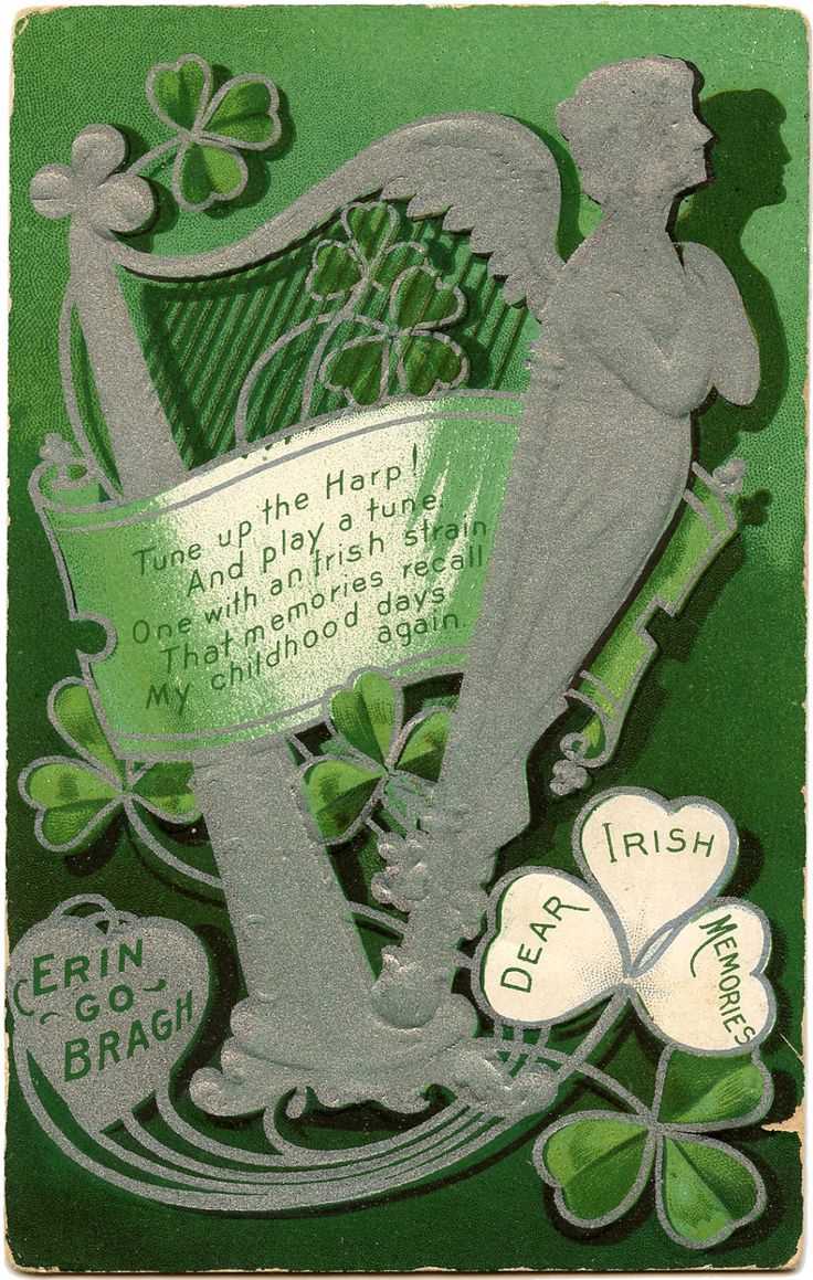 Harp and Shamrock Irish bar