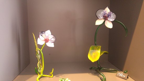 Anima Creativa Glass Lab
