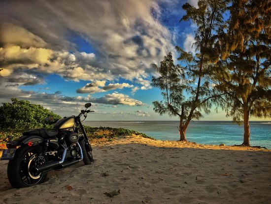 Harley Davidson Reunion Flying Twin