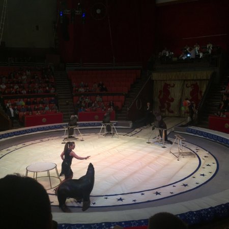 Bryansk State Circus