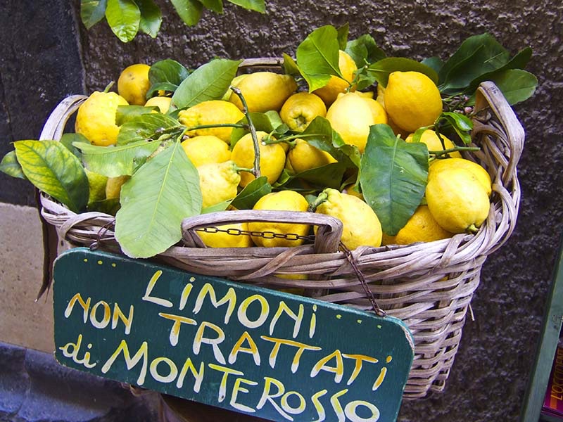 Lemon Bay