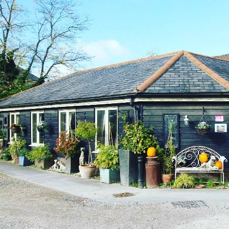 Writtle Road Nursery