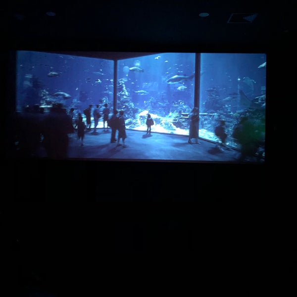 Cineworld Sinemalari