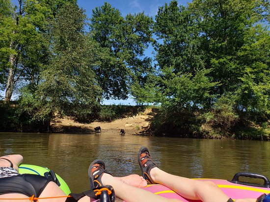 River Ratz