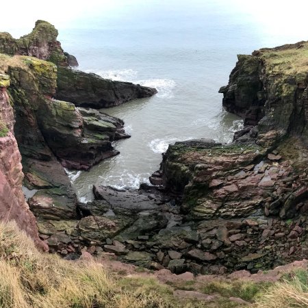 Arbroath to Auchmithie Coastal Path