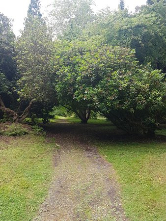 Gelli Aur Cafe and Country Park