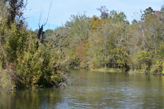 Isaac Creek