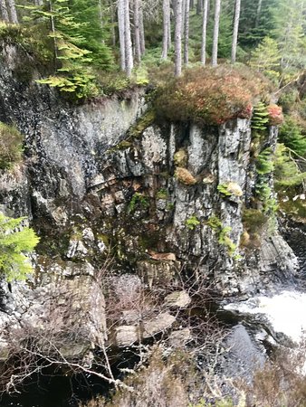 Strathmashie Forest