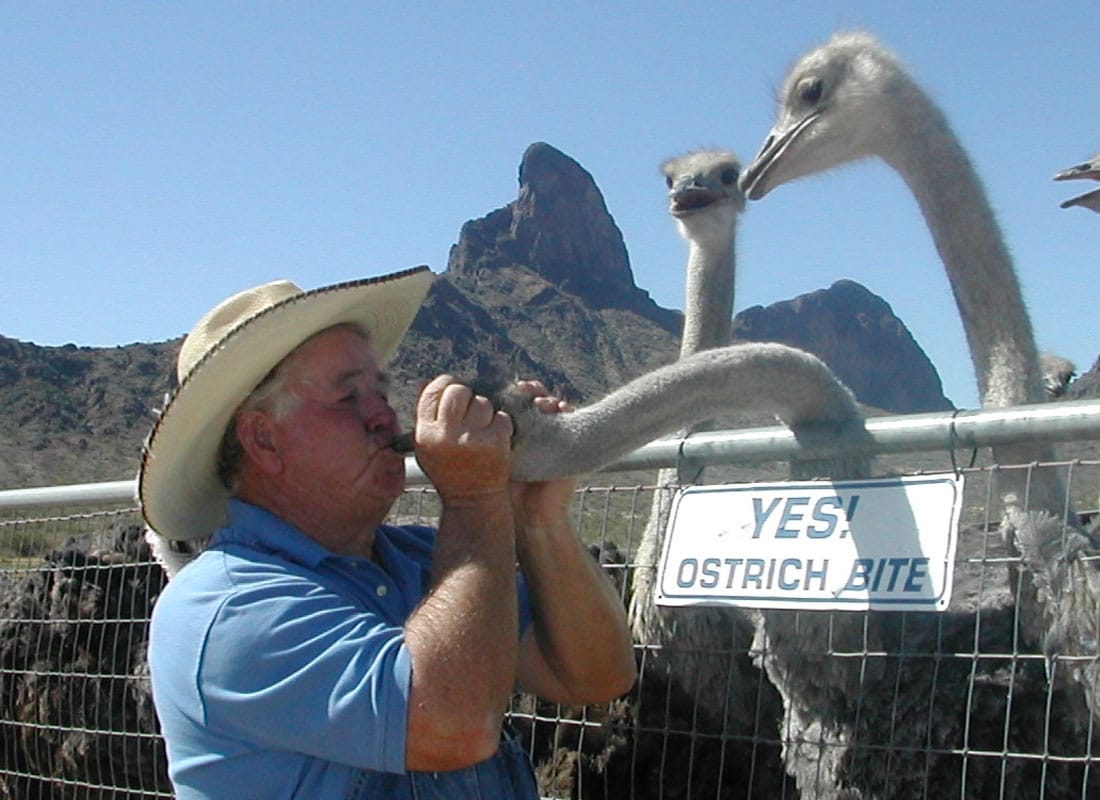 Rooster Cogburn Ostrich Ranch