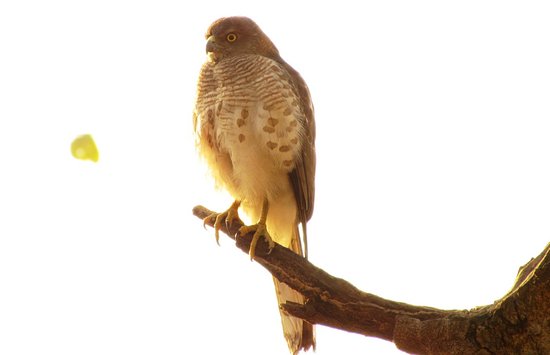 Nature Education Park