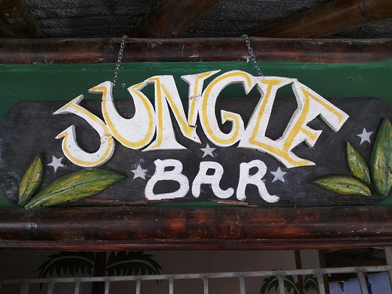 Jungle Bar