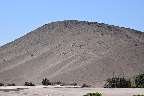 La Tropilla Geoglyphs