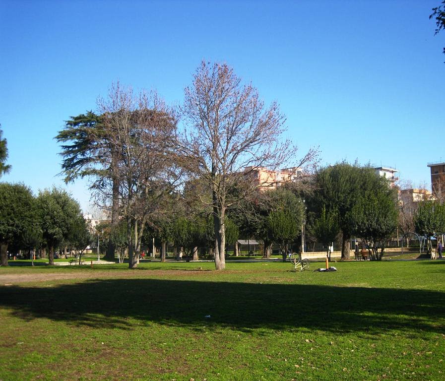 Outdoor Pictures 1