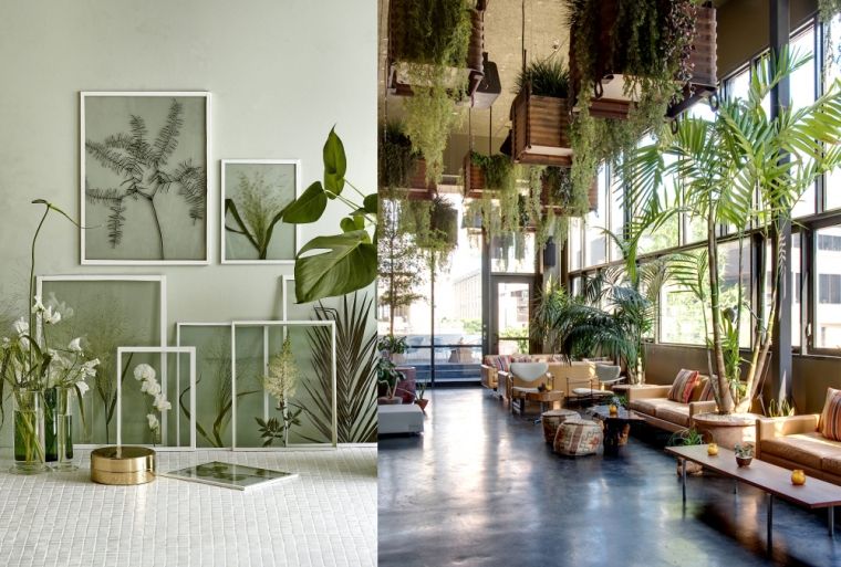 Urban Jungle