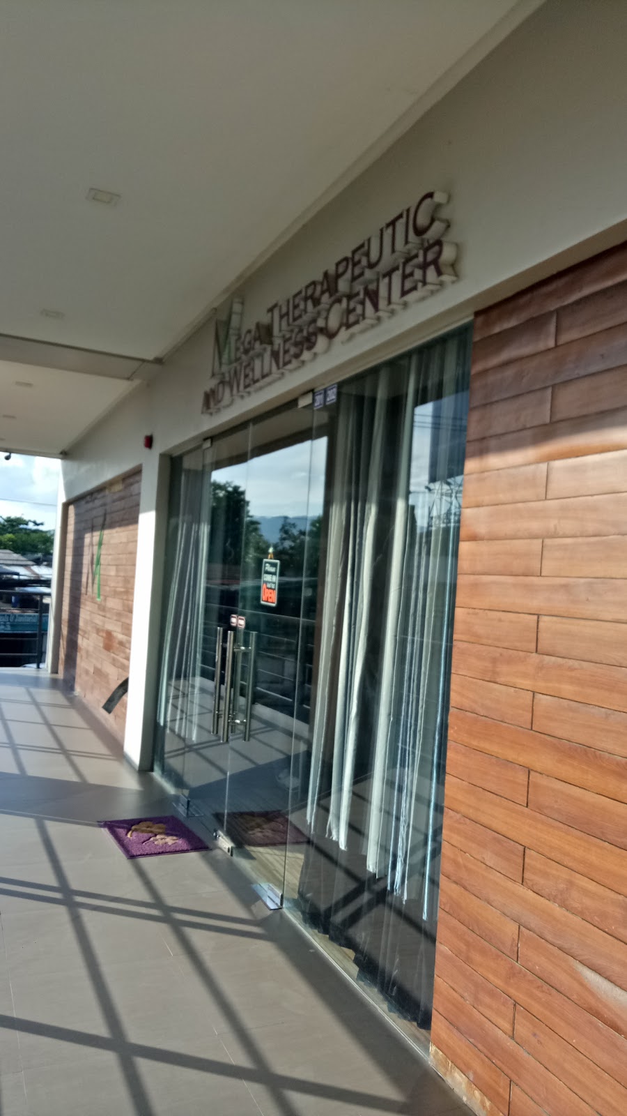 Mega Therapeutic and Wellness Center