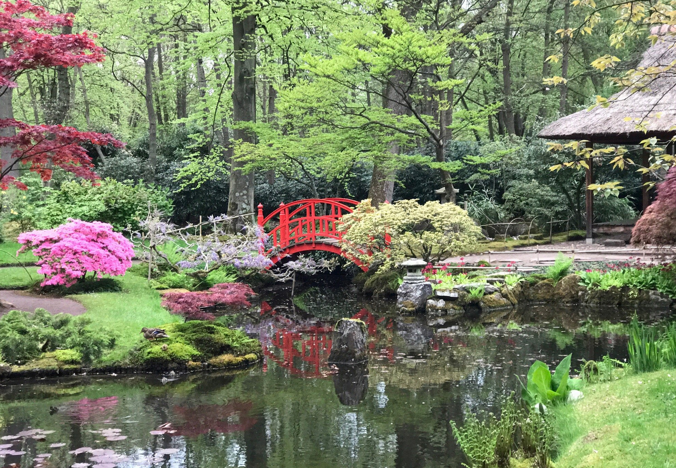 Japanese Garden