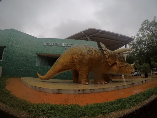Museo de Historia Natural