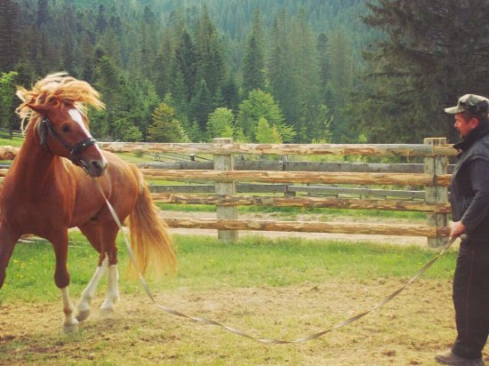 Horseback Riding Tours