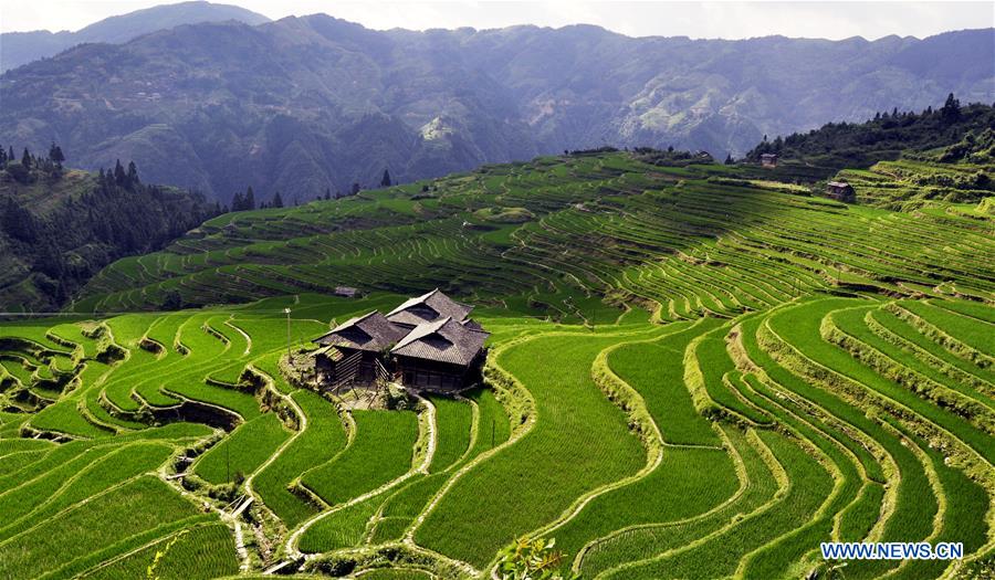 Youxian Terraced Field