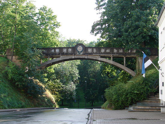 Outdoor Pictures 1