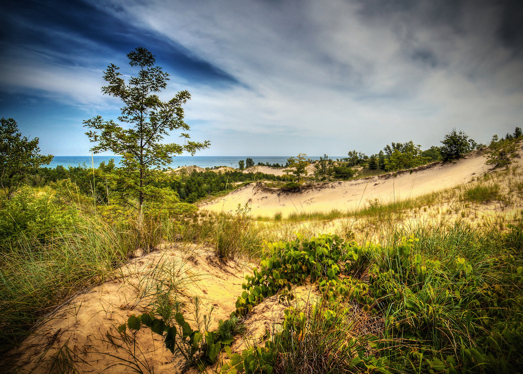 Indiana Dunes State Park