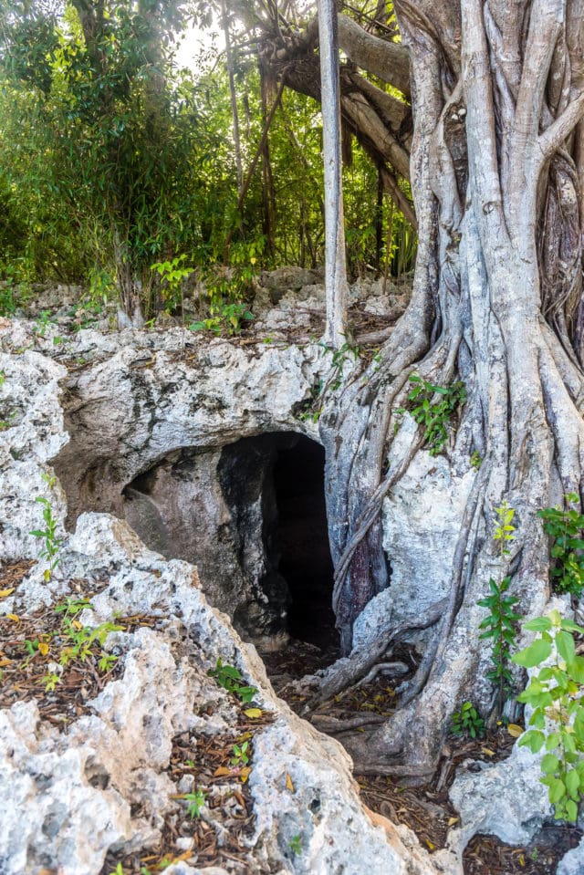Cayman Brac Caves