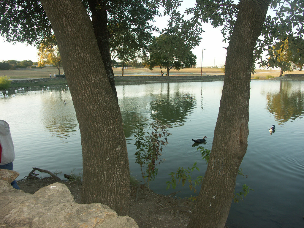 Copperas Cove City Park and Pool